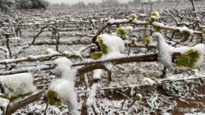 Meteoroloji 6. Bölge Müdürlüğü, Doğu Akdeniz bölgesindeki tarım alanları için