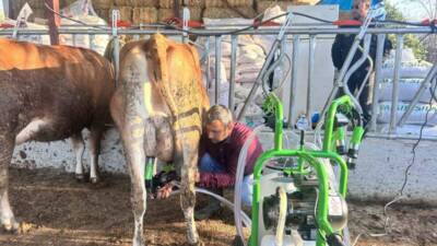 Hatay Büyükşehir Belediyesi, kırsal kalkınmayı desteklemek ve hayvancılıkla uğraşan vatandaşların