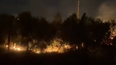 Hatay’ın Antakya Küçükdalyan Mahallesi’nde, elektrik tellerinden düşen kıvılcımlar yangına neden