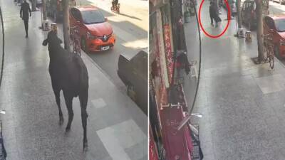 Yurt dışından getirilen angusun, tırla ülkeye sevk edilirken kaçması sonucu,