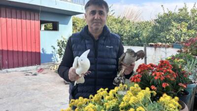 Hatay’ın Dörtyol ilçesinin Yeniyurt Mahallesi’nde yaşayan Doğan Atılgan, beslediği güvercinleri