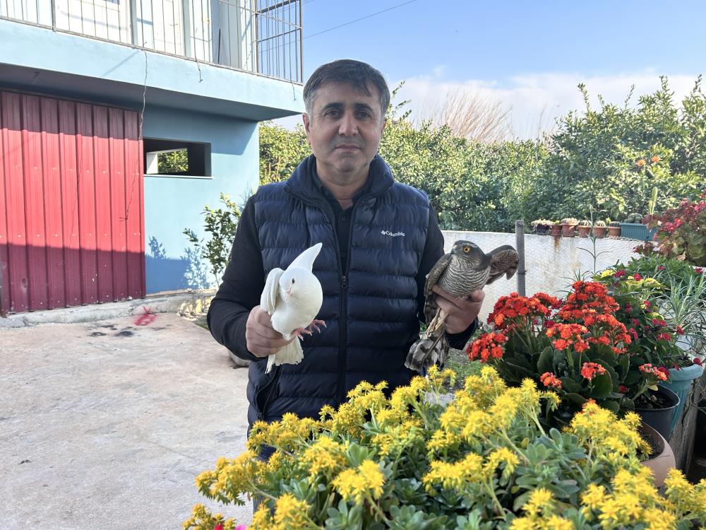 Hatay’ın Dörtyol ilçesinin Yeniyurt Mahallesi’nde yaşayan Doğan Atılgan, beslediği güvercinleri