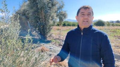   Hatay’ın Erzin ilçesinde çiftçilik yapan Süleyman Bakıcı, bahçesindeki zeytin