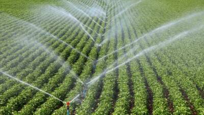 Tarım ve Orman Bakanı İbrahim Yumaklı tarafından açıklanan yeni düzenlemeyle,