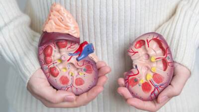 Her yıl Mart ayının ikinci Perşembesi, Dünya Böbrek Günü olarak