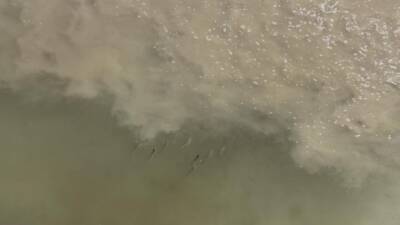 Hatay’ın Antakya ilçe merkezinden geçen Asi Nehri’nde, atık suların nehre