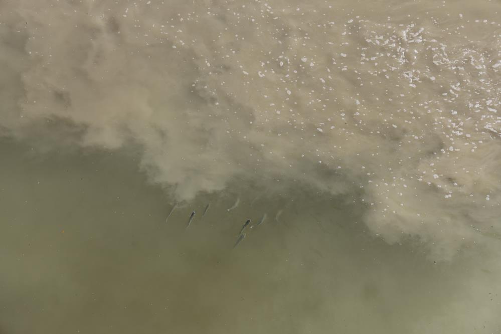 Hatay’ın Antakya ilçe merkezinden geçen Asi Nehri’nde, atık suların nehre