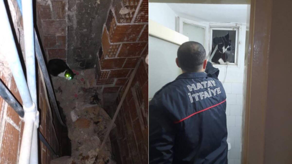 Hatay’ın İskenderun ilçesinde bir binanın havalandırma boşluğuna düşen kedi, itfaiye
