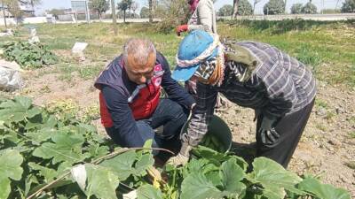 Hatay Tarım ve Orman Müdürü Abdurrahman Türkmen, bölgedeki tarımsal faaliyetleri