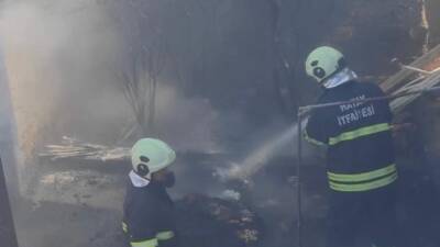Hatay’ın İskenderun ilçesinde, Buluttepe Mahallesi’nde bulunan bir evin bahçesinde çıkan