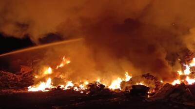 Hatay’ın Payas ilçesinde, Yıldırım Beyazıt Mahallesi’nde bulunan bir otluk alanda