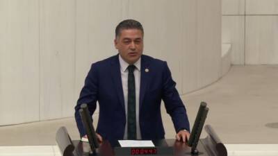 CHP Hatay Milletvekili Servet Mullaoğlu, Türkiye Büyük Millet Meclisi (TBMM)