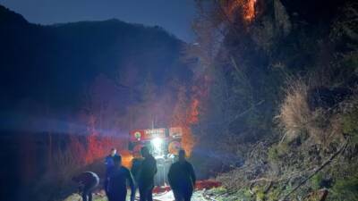 Hatay’ın Dörtyol ilçesine bağlı Amanos Dağları Tekkoz Yaylası mevkiinde çıkan