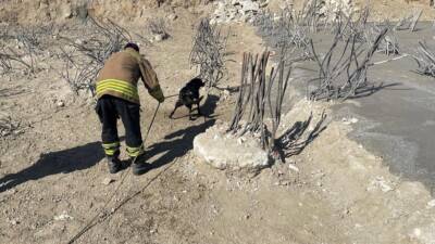 Hatay’ın Antakya ilçesinde, Emek Mahallesi’nde bulunan bir inşaat alanında meydana