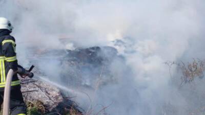 Hatay’ın Samandağ ilçesinde kamışlık alanda çıkan yangın, itfaiye ekiplerinin hızlı