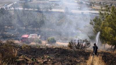 Hatay’ın İskenderun ilçesinde bulunan Çankaya Mezarlığı yakınındaki ağaçlık alanda çıkan