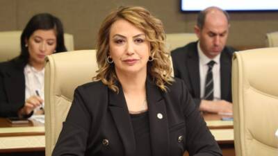 CHP Hatay Milletvekili Nermin Yıldırım Kara, Hatay’daki iki üniversiteye yapılan