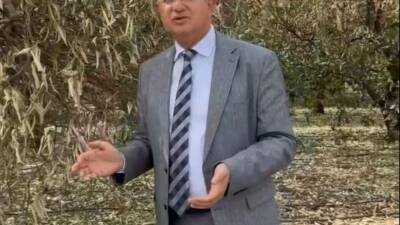 Dörtyol ve çevresinde yaşanan şiddetli don olayı, narenciye üreticilerini zor