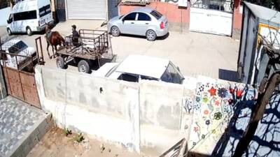 Hatay’ın Reyhanlı ilçesinde, at arabasıyla hurda toplayan bir şahsın, bir