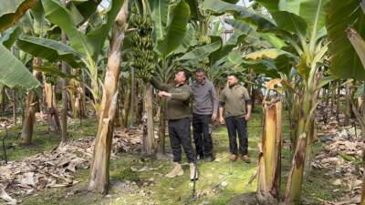 Hatay’da geçtiğimiz haftalarda etkili olan soğuk hava, zirai don afetine