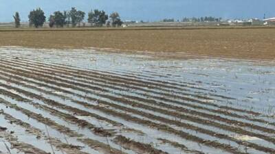 Amik Ovası’nda tarımsal sulamanın en önemli kaynaklarından biri olan Reyhanlı