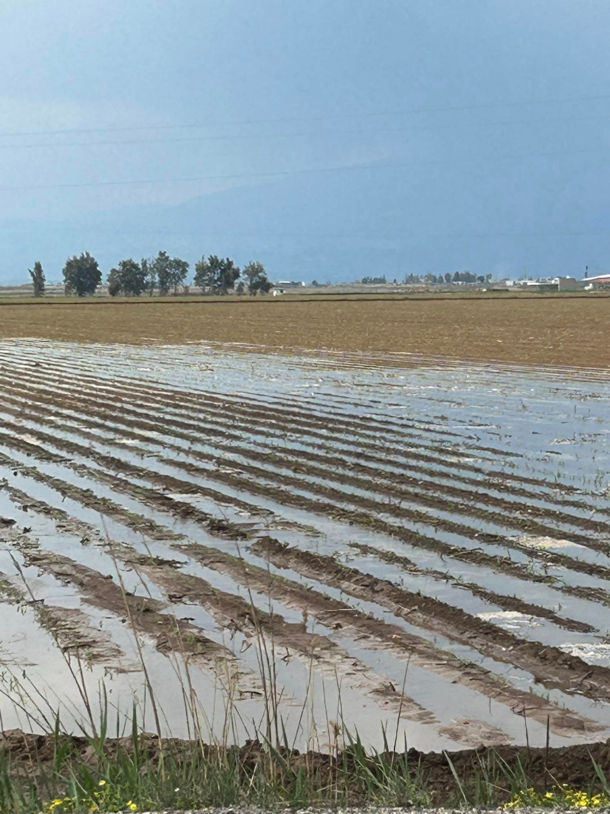 Amik Ovası’nda tarımsal sulamanın en önemli kaynaklarından biri olan Reyhanlı