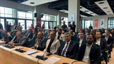 Hatay Büyükşehir Belediyesi’ne Yayladağı Yukarıokçular Mahallesi sınırları içinde bulunan üç