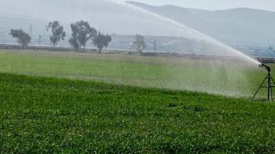Hatay Mustafa Kemal Üniversitesi (HMKÜ) Ziraat Fakültesi Tarla Bitkileri Bölümü,