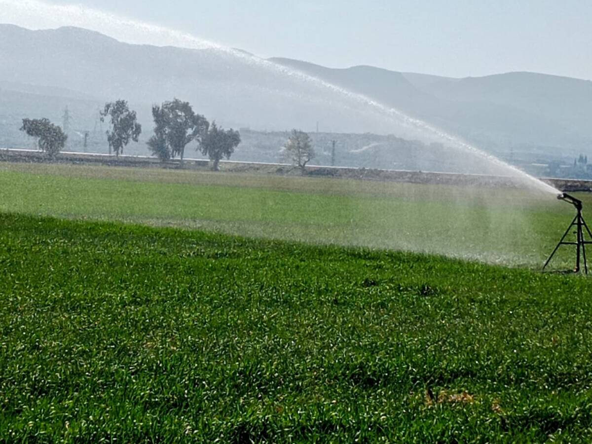 Hatay Mustafa Kemal Üniversitesi (HMKÜ) Ziraat Fakültesi Tarla Bitkileri Bölümü,