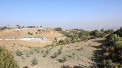 Antakya Belediyesi, ilçedeki köpek, kedi ve diğer sokak hayvanlarının daha