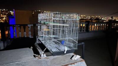   Hatay’ın İskenderun ilçesinde yaşayan Ferhat Okur, 6 yıldır beslediği