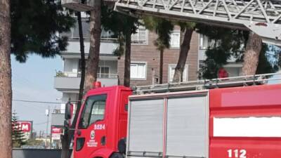 Hatay’ın Erzin ilçesinde, ayağına ip dolanarak ağaçta mahsur kalan serçe,