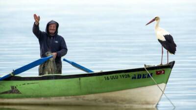 Yaren Leylek, bu yıl da gecikmeli olarak yuvasına döndü. 14