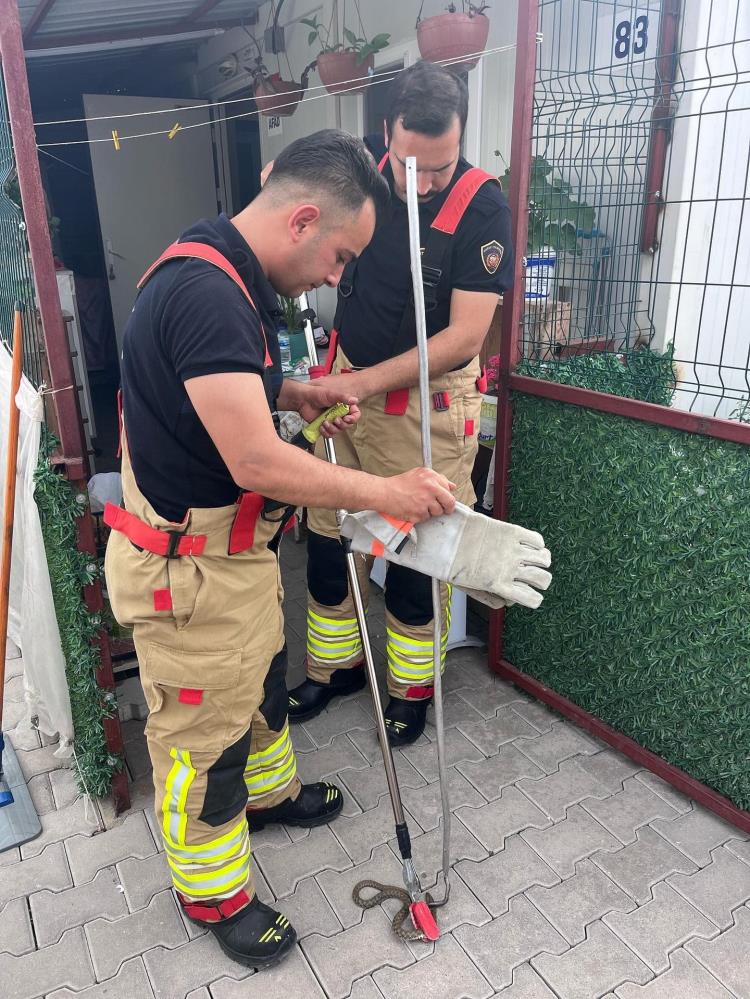Hatay’ın Antakya ilçesine bağlı Güzelburç Mahallesi’ndeki Anafartalar Geçici Yaşam Alanı’nda
