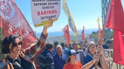 Hatay’ın Samandağ ilçesine bağlı Mağaracık Mahallesi, zeytinlik ve tarım arazilerinin