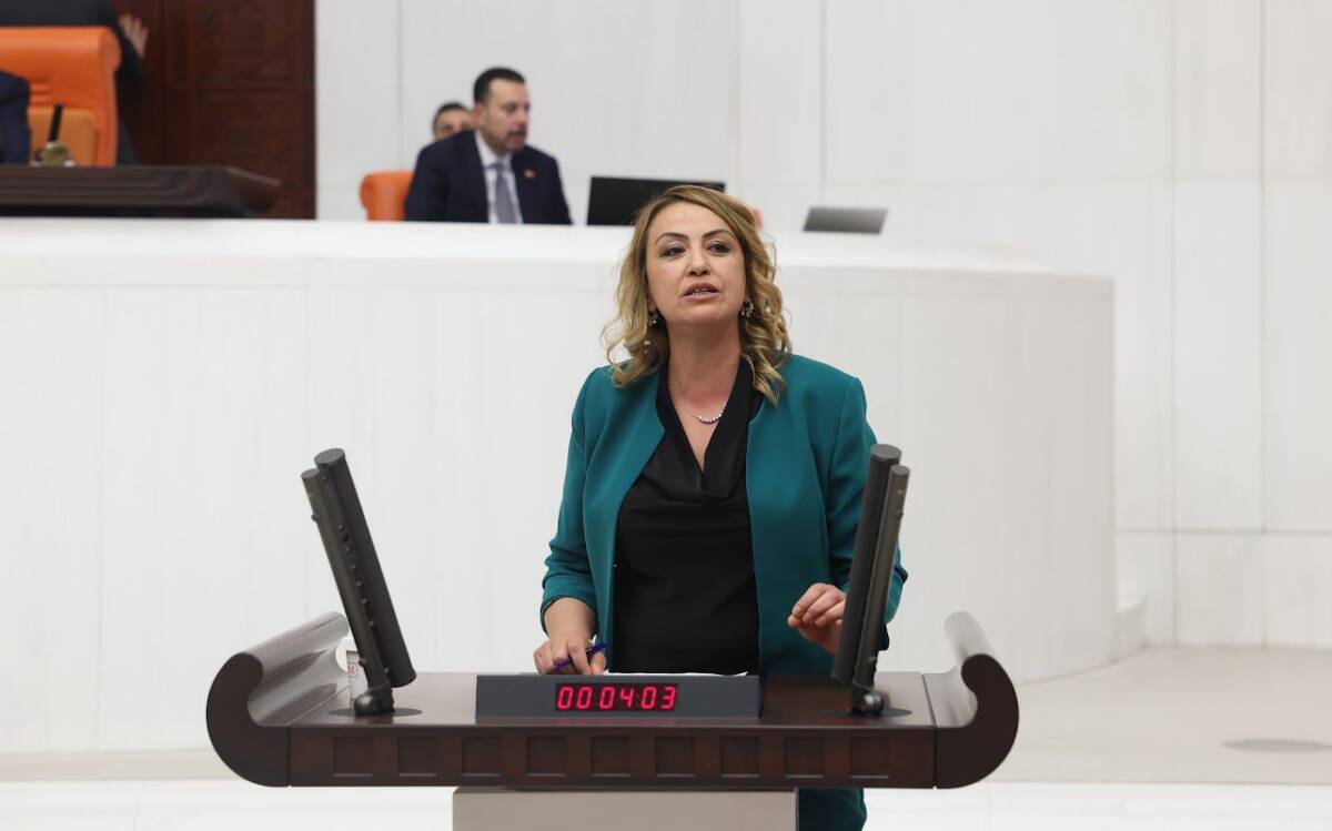 &nbsp; Cumhuriyet Halk Partisi (CHP) Hatay Milletvekili Nermin Yıldırım Kara,