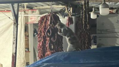 Antakya’nın Haraparası Mahallesi’nde kurulan semt pazarında ilginç bir olay yaşandı.