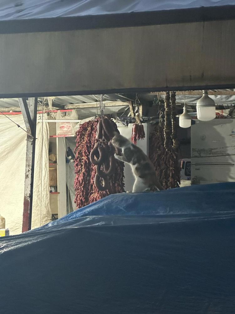 Antakya’nın Haraparası Mahallesi’nde kurulan semt pazarında ilginç bir olay yaşandı.