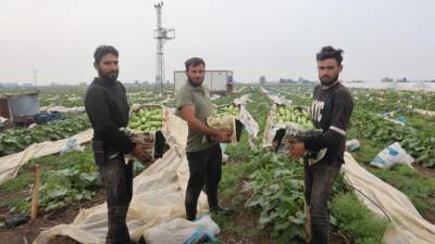 Türkiye’nin en verimli tarım bölgelerinden biri olan Hatay’da, kuraklık ve