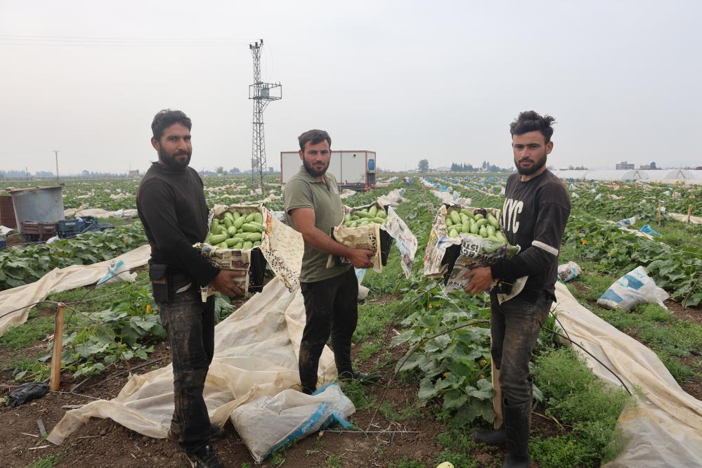 Türkiye’nin en verimli tarım bölgelerinden biri olan Hatay’da, kuraklık ve