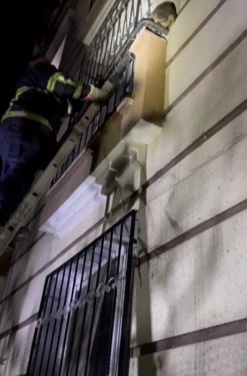 Antakya ilçesi Saraykent Mahallesi’nde, bir kedi yüksek katlı bir binanın