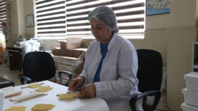 Hatay’ın yerel arı ırkı, Tarım ve Orman Bakanlığı tarafından tescil