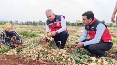Hatay Tarım ve Orman İl Müdürü Abdurrahman Türkmen, ilçe ziyaretlerine