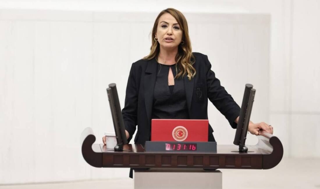 CHP Hatay Milletvekili Nermin Yıldırım Kara, Hatay’daki sağlık sisteminin çöküşünü