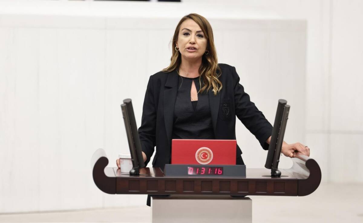 CHP Hatay Milletvekili Nermin Yıldırım Kara, Hatay’daki sağlık sisteminin çöküşünü