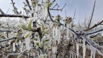 Şubat ve Nisan aylarında Türkiye’nin dört bir yanını saran şiddetli