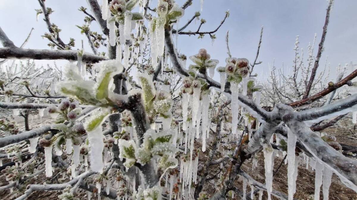Şubat ve Nisan aylarında Türkiye’nin dört bir yanını saran şiddetli