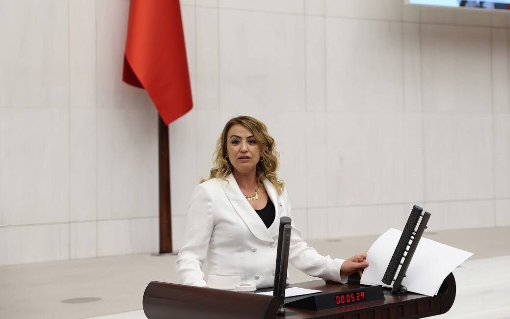 Cumhuriyet Halk Partisi (CHP) Hatay Milletvekili Nermin Yıldırım Kara, Türkiye’de