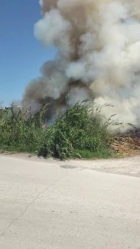 Hatay’ın Arsuz ilçesine bağlı Konarlı Mahallesi’nde çıkan sazlık yangını, vatandaşların