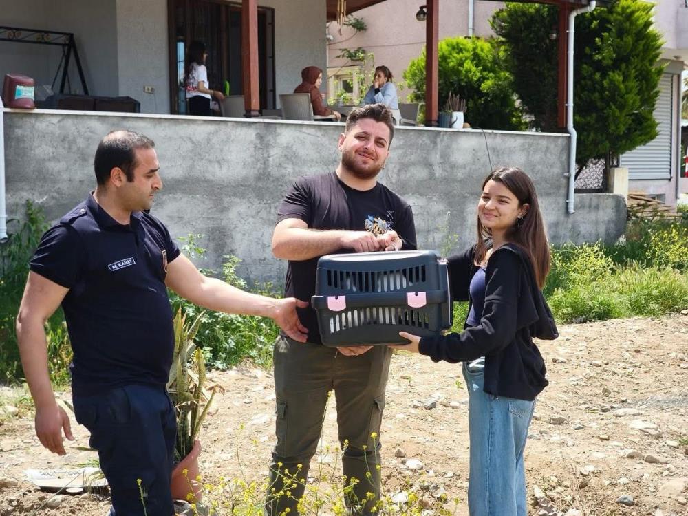 Hatay’ın Arsuz ilçesinde, demir korkuluklara sıkışarak mahsur kalan bir kedi,